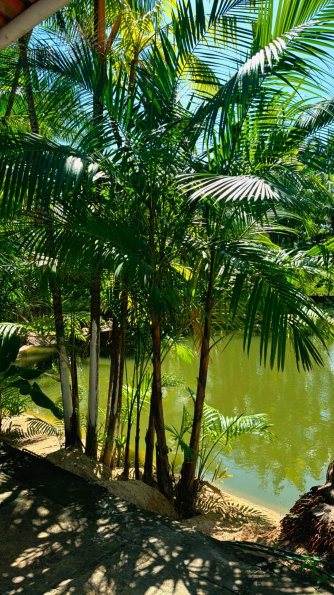 Hotel Pousada Beira Rio Barrerinhas Barreirinhas Exteriér fotografie