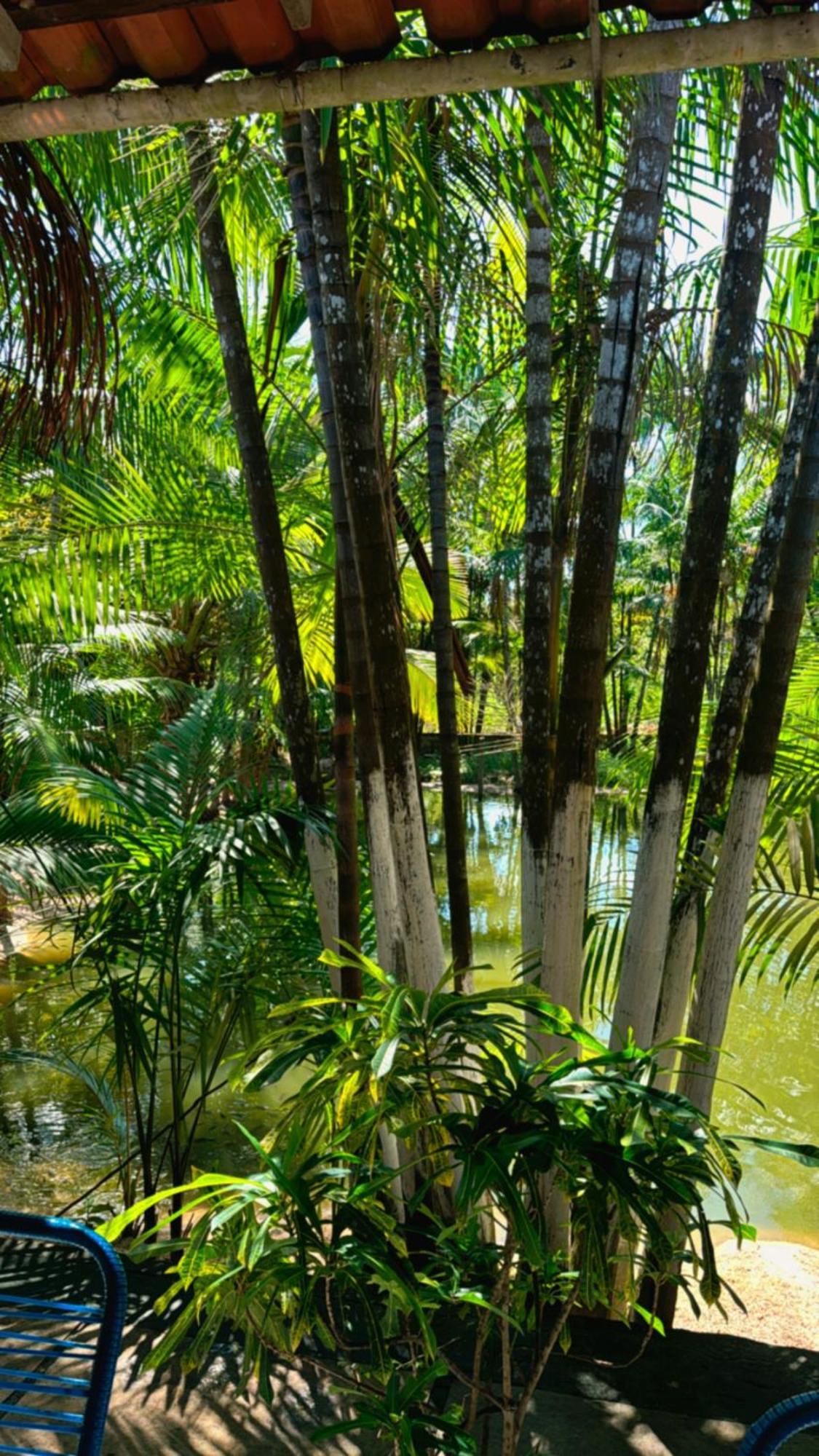 Hotel Pousada Beira Rio Barrerinhas Barreirinhas Exteriér fotografie